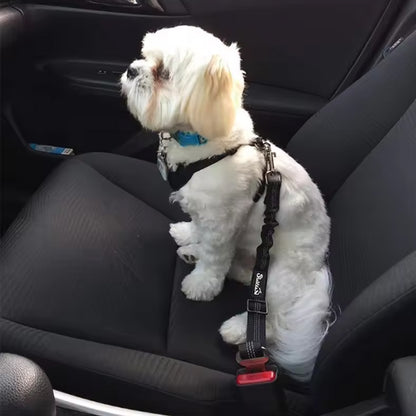 PawGuard™ Car Safety Belt