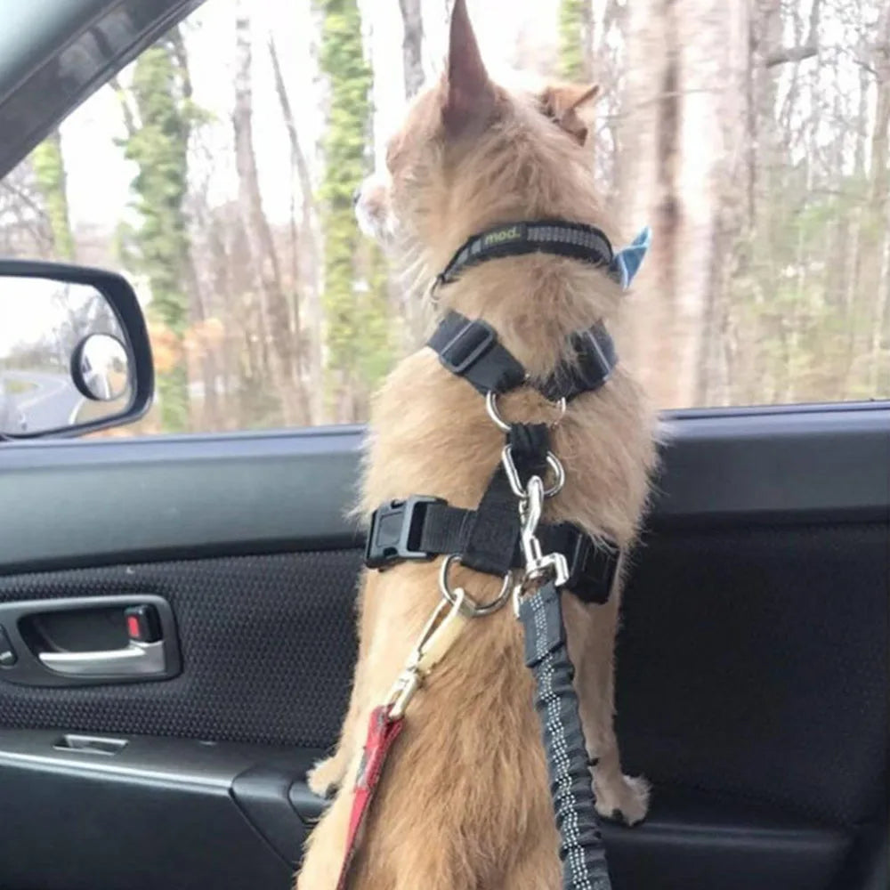 PawGuard™ Car Safety Belt