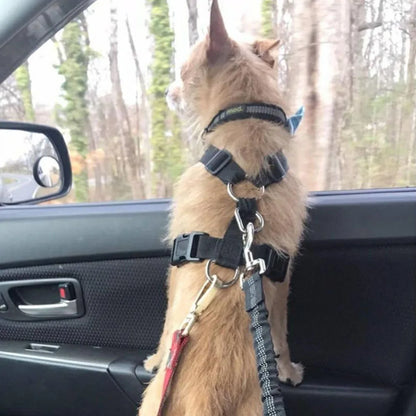 PawGuard™ Car Safety Belt